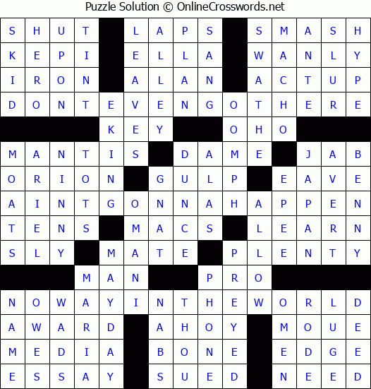 Solution for Crossword Puzzle 2024